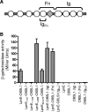 FIG. 6.