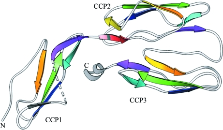 Figure 2