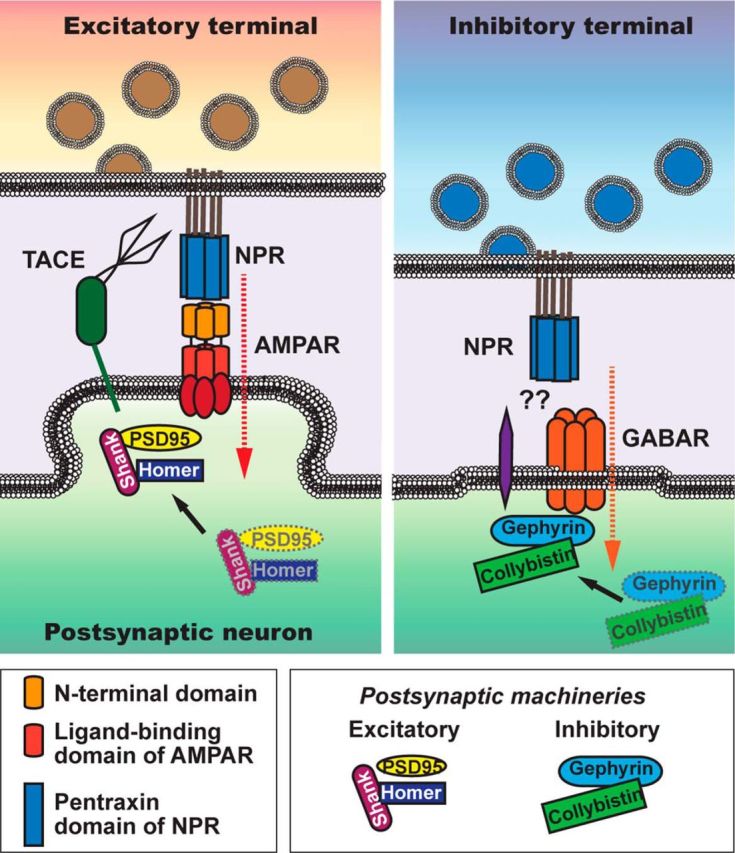 Figure 13.