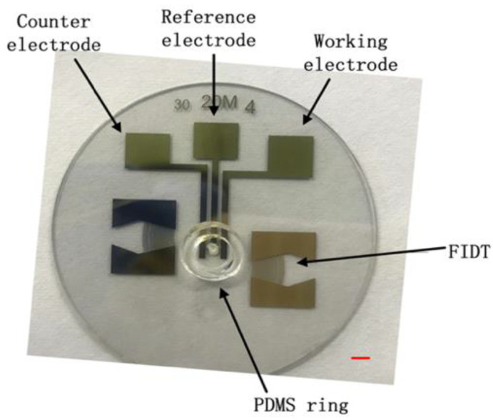 Figure 24