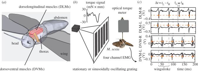 Figure 2.