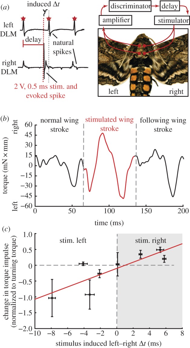 Figure 5.