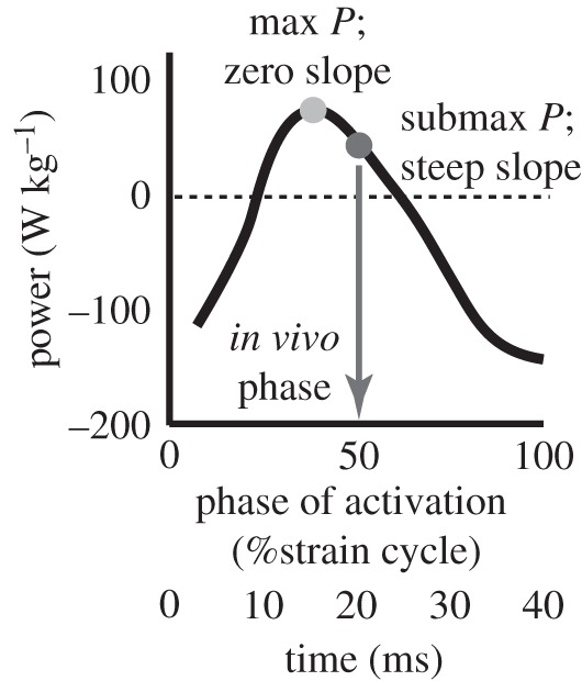 Figure 1.