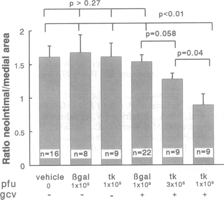 graphic file with name pnas01144-0502-a.jpg