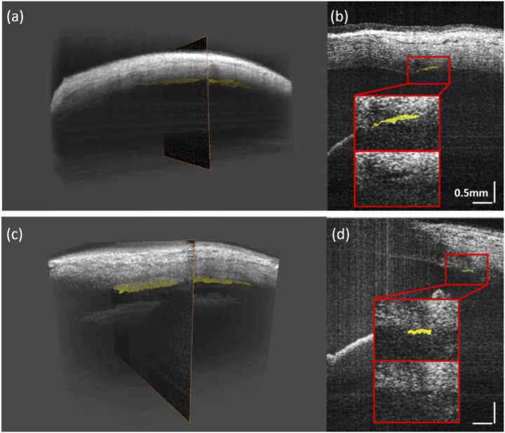 Fig. 3.