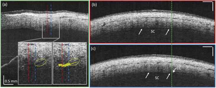 Fig. 5.