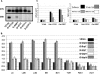 FIG. 11.