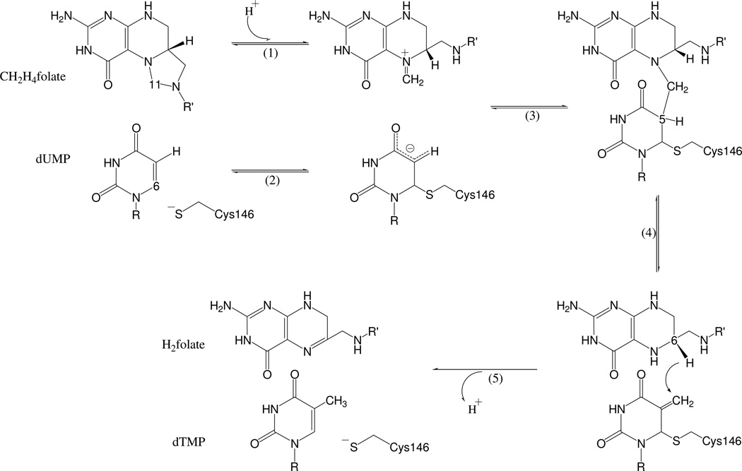 Scheme 2