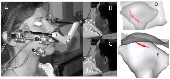 Figure 1.