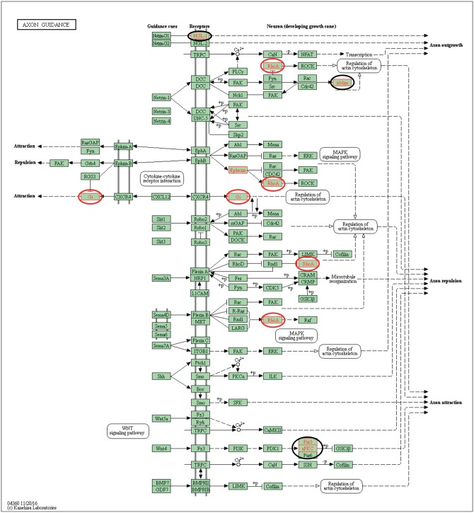 Figure 9: