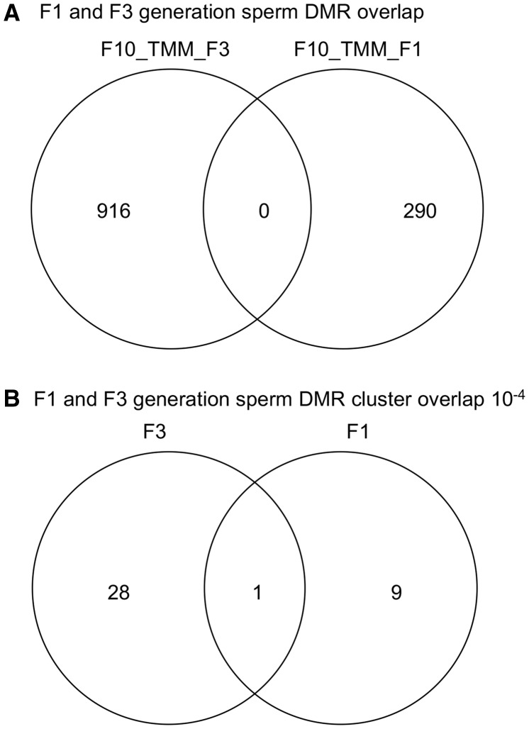 Figure 5: