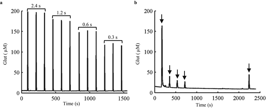 Fig. 6.