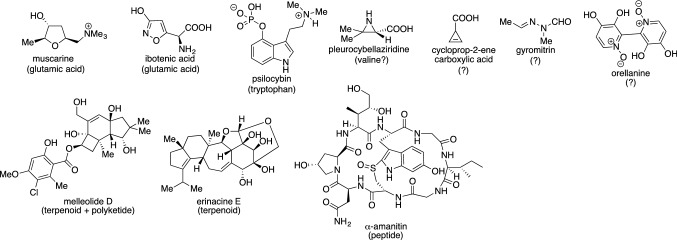 Fig. 8