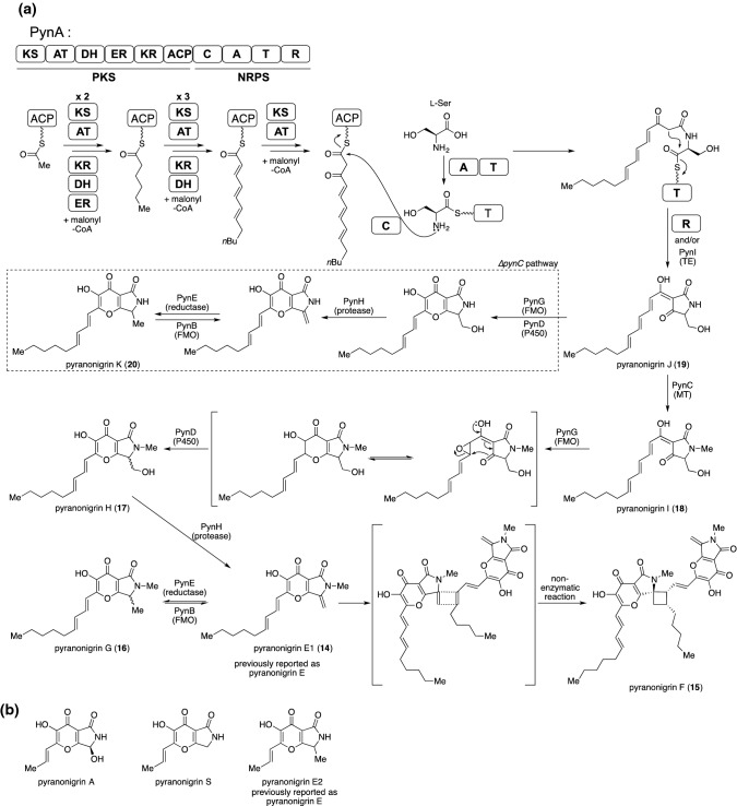 Fig. 7