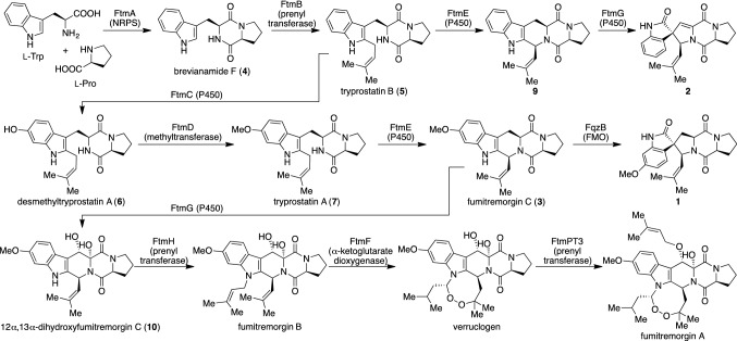 Fig. 2