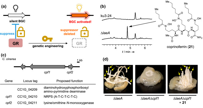 Fig. 9