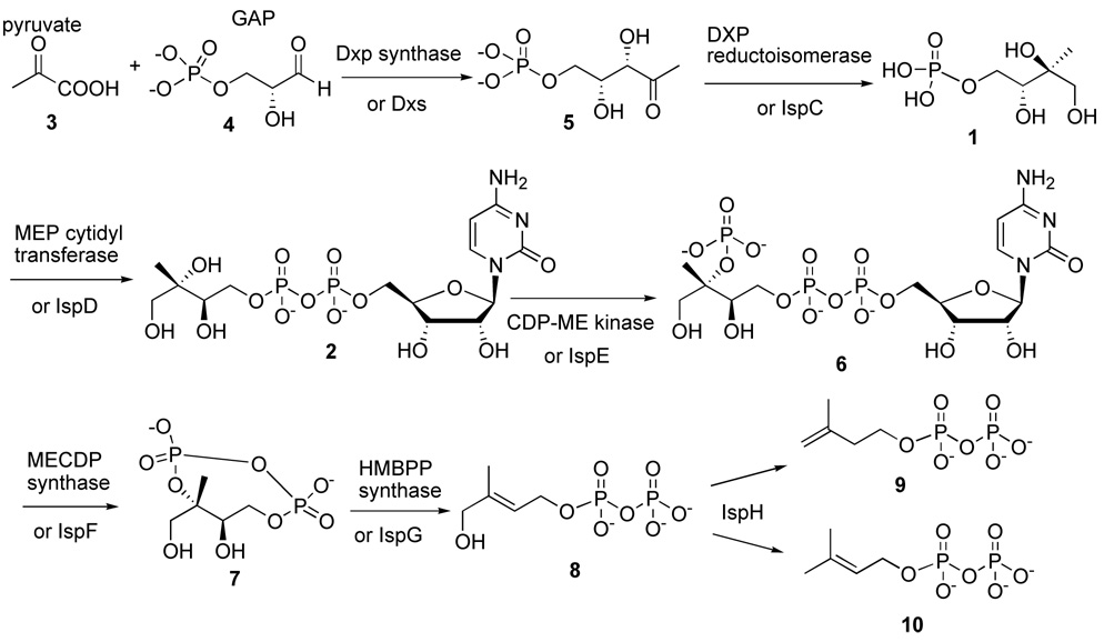 Scheme 1