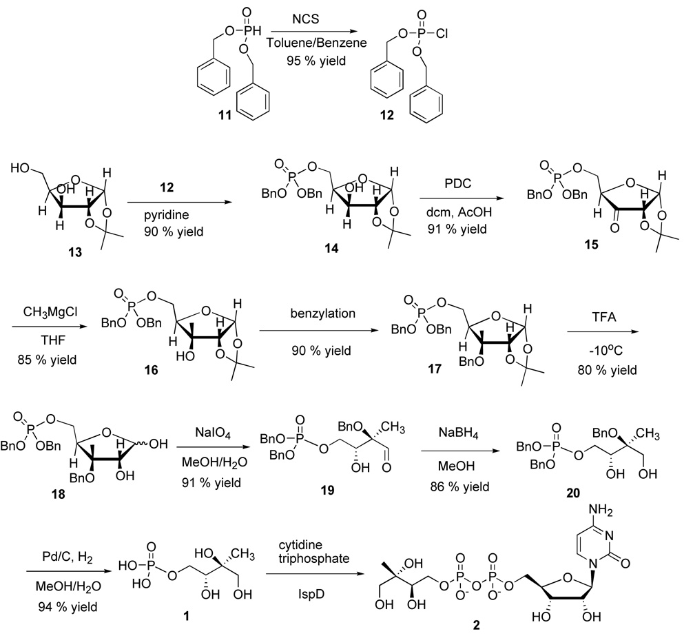 Scheme 2