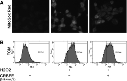 FIG. 6.