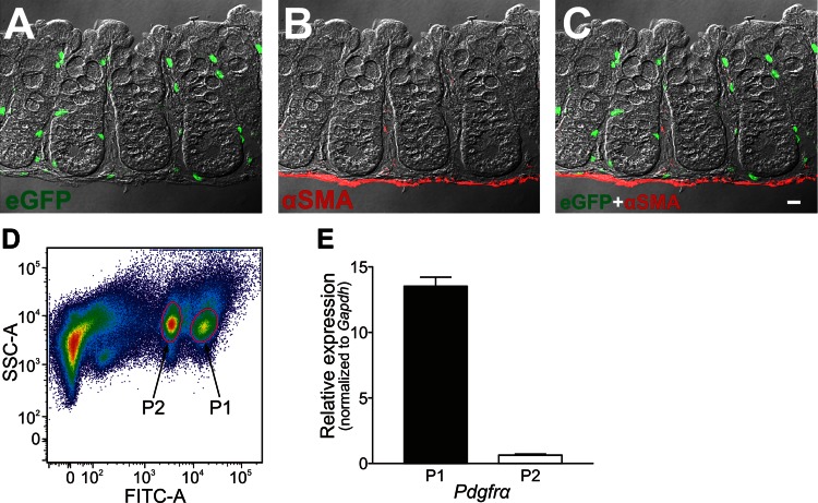 Fig. 11.