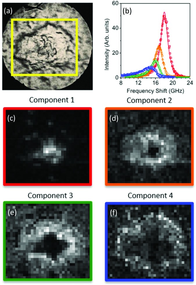 Fig. 3