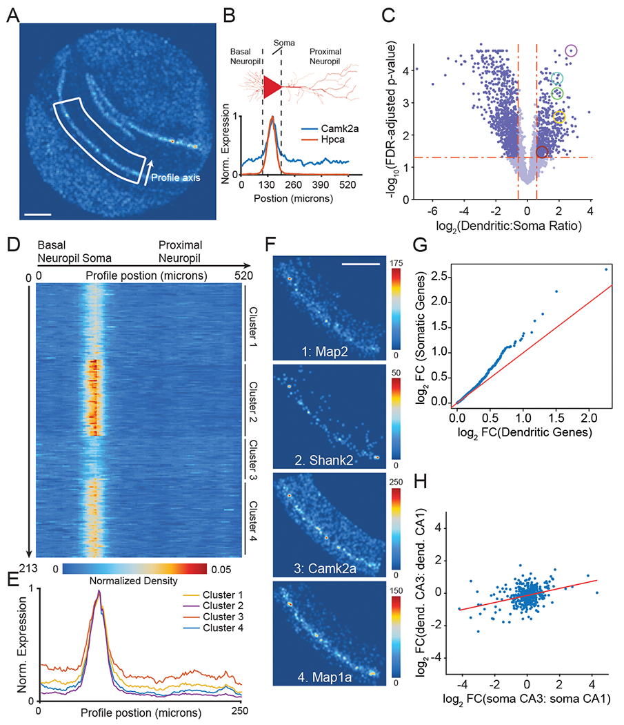 Figure 2: