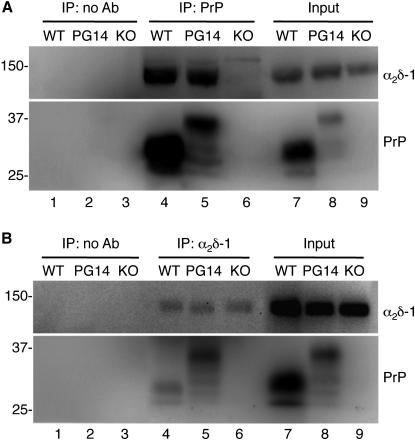 Figure 5