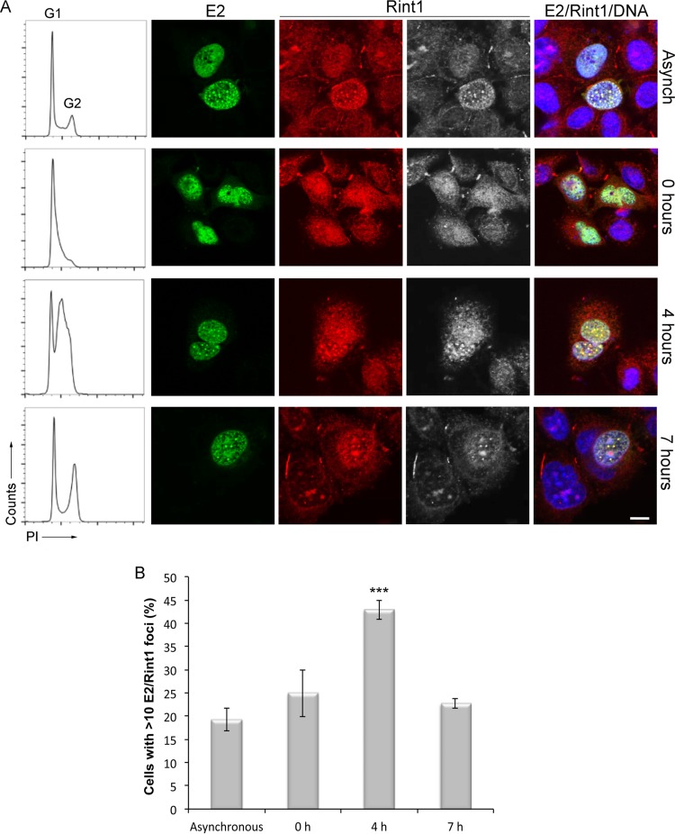 FIG 6