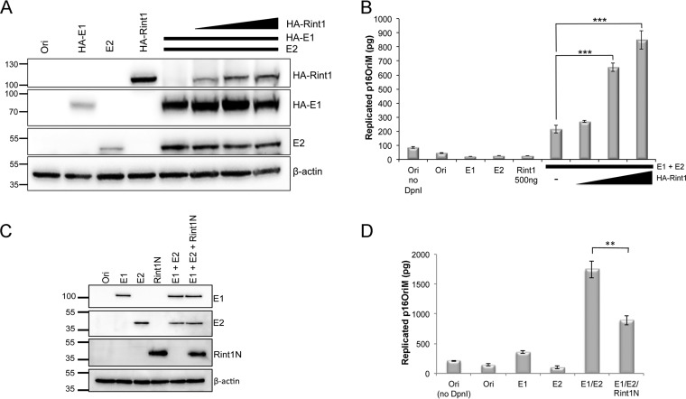 FIG 9