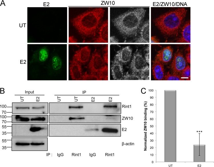 FIG 4