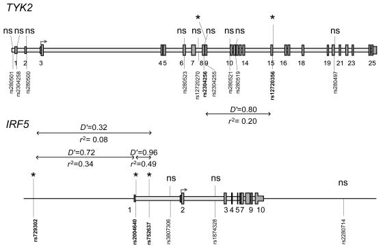 Figure  1