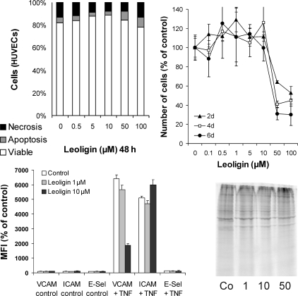 Figure 5