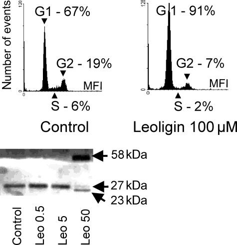 Figure 4