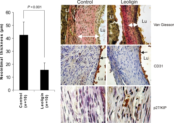 Figure 6