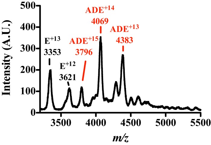 FIGURE 7.