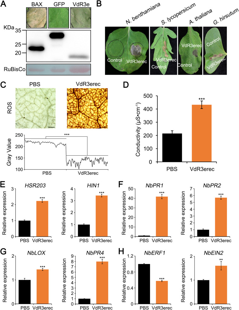 FIG 2