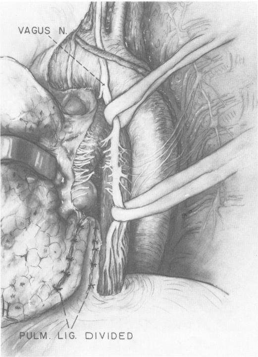 Fig. 10.