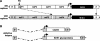 FIG. 2.