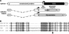 FIG. 1.
