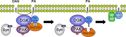 Figure 7.