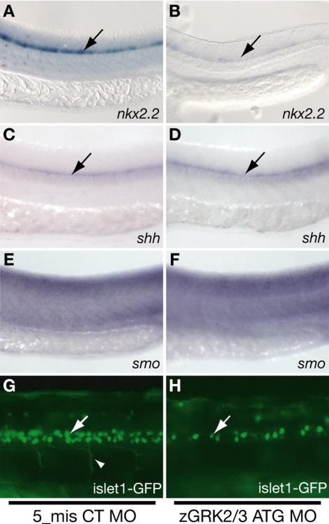 Figure 7.