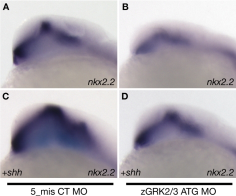 Figure 5.