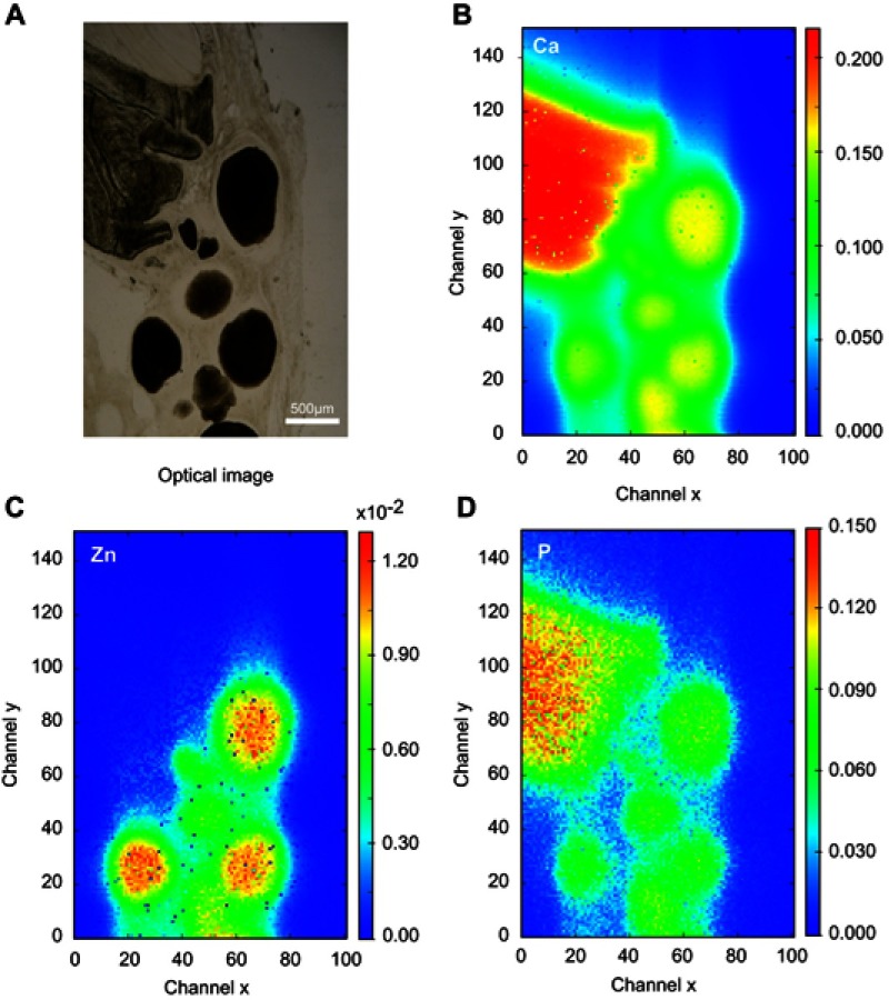 Figure 11