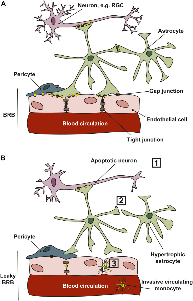 FIGURE 4