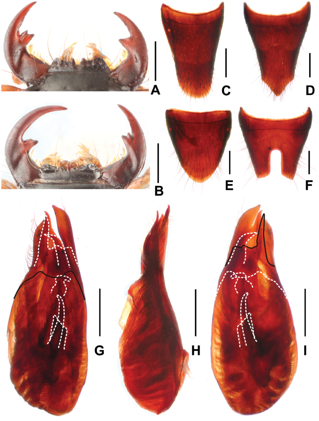 Figure 7.