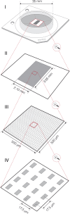 Figure 2—figure supplement 1.
