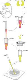 Figure 2—figure supplement 2.