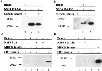 FIG. 7.