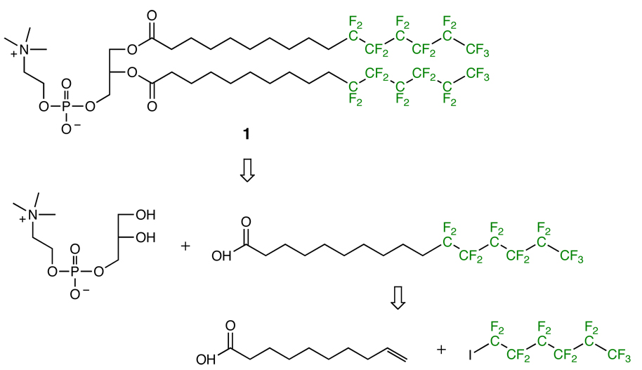 Scheme 1