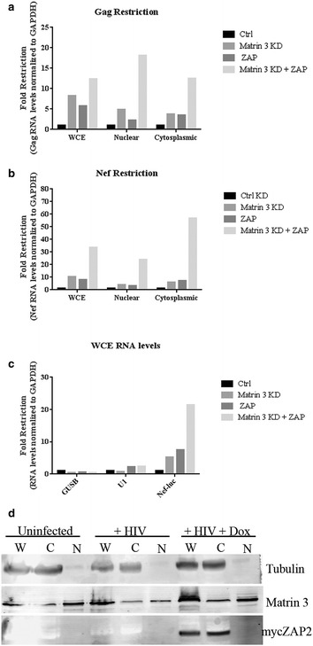 Figure 4